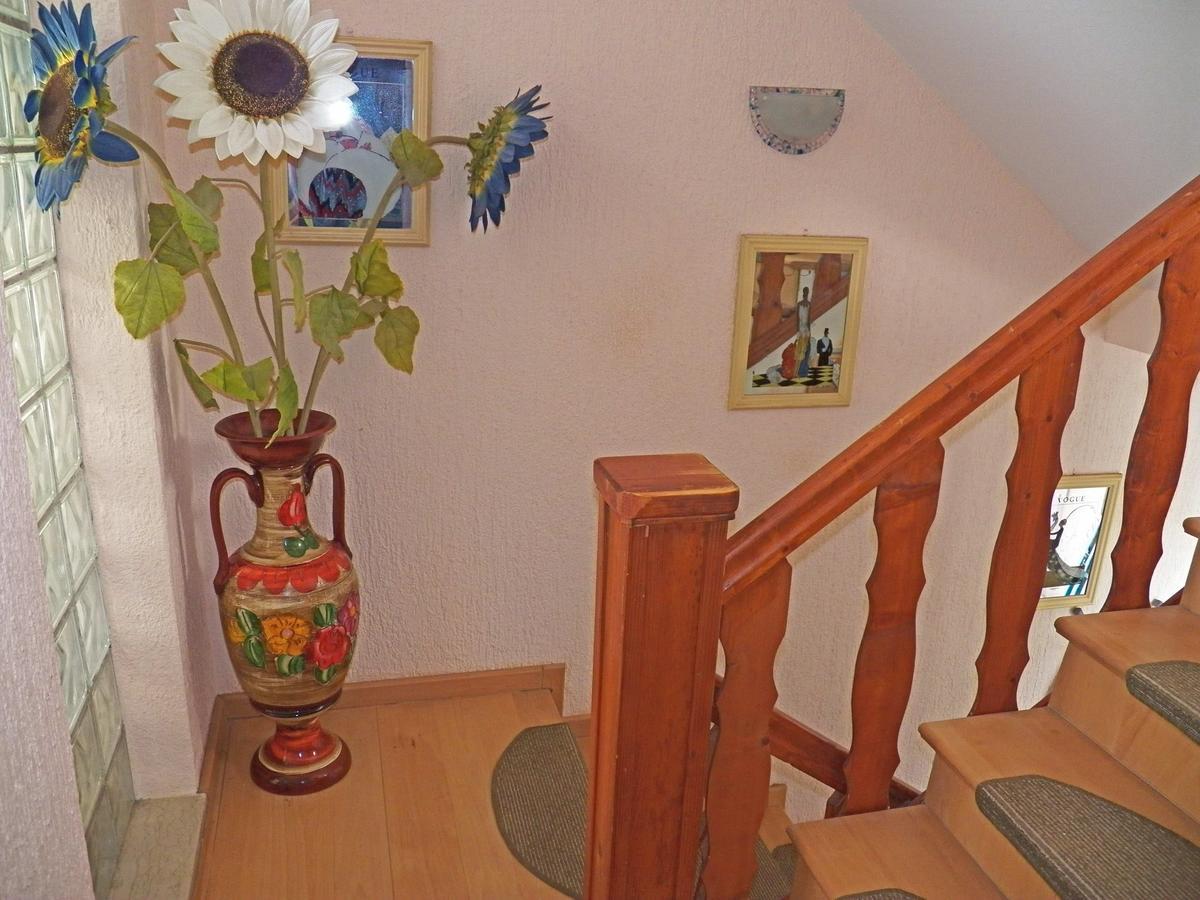 House Dubravka 1946 Apartment *